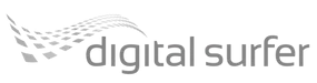 Digital Surfer Web design